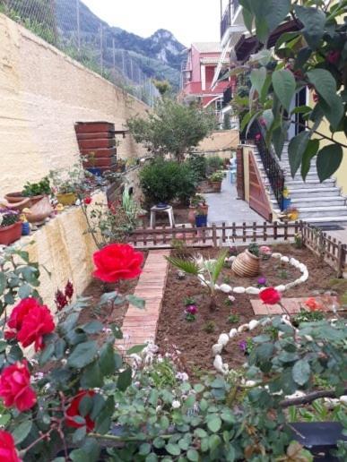 Margaritas' Rooms Agios Gordios  Dış mekan fotoğraf