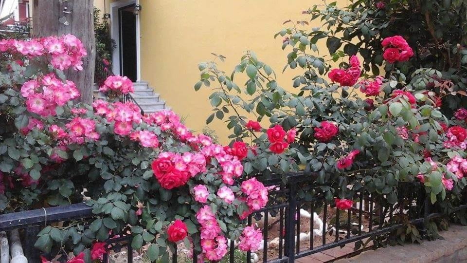 Margaritas' Rooms Agios Gordios  Dış mekan fotoğraf